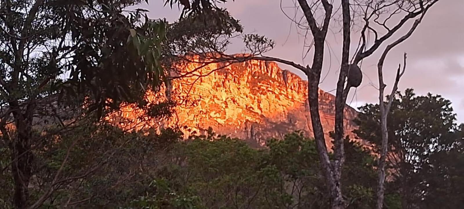 Camping Guapira فالي دو كاباو المظهر الخارجي الصورة